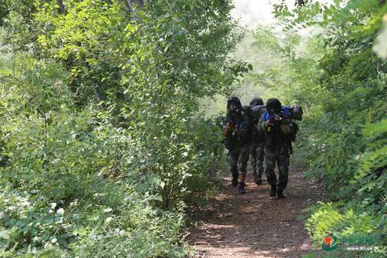 魔鬼周训练,几名特战队员全副武装搜索前进