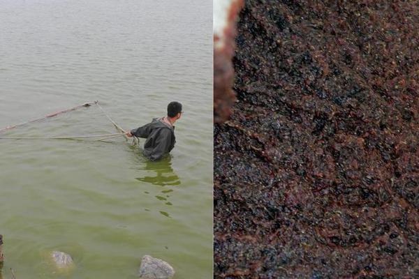 特拉布宗体育-乐鱼app(leyu)官方网站-乐鱼官网