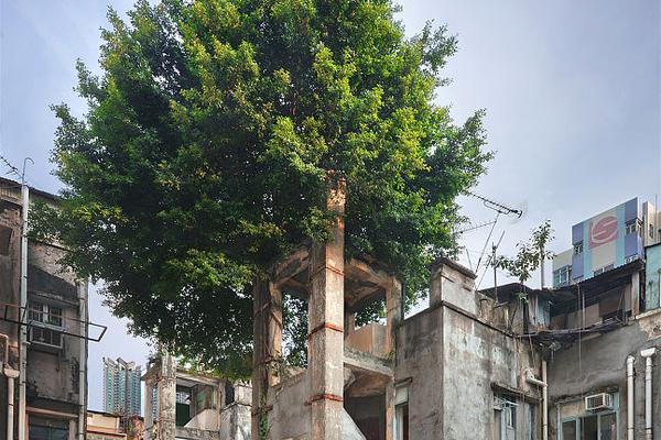 中国足协超级杯-乐鱼app(leyu)官方网站-乐鱼官网