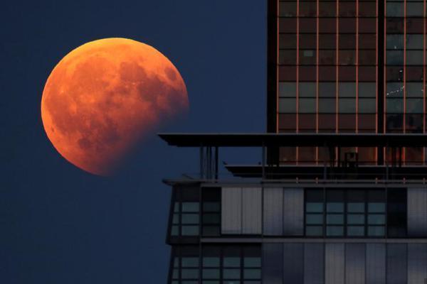 大卫席尔瓦-乐鱼app(leyu)官方网站-乐鱼官网