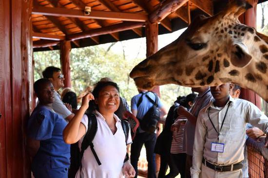 资料图：在肯尼亚首都内罗毕的长颈鹿中心，一名中国游客和长颈鹿互动。 新华社记者孙瑞博摄