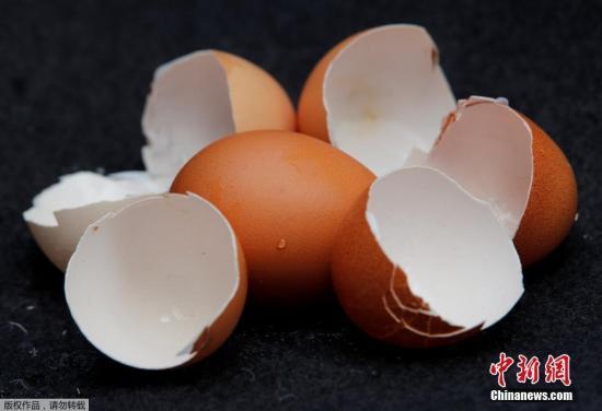 比利时检察部门指,当地弗兰德斯两家专门生产杀虱剂的厂商怀疑与事件有关,可能有不法商人将原本合法用于饲养鸡只的杀虫药,混合非法有害物质,以加强药力。(资料图)