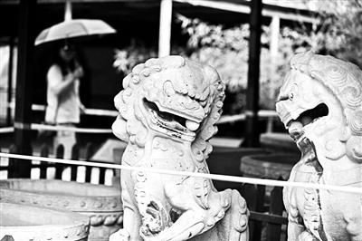 8月8日,圆明园流散文物展,左侧的石狮子口中仅剩一颗石球。北京青年报 图