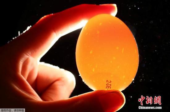 8月4日消息,荷兰食物及产品安全委员会(NVWA)日前警告,在一批鸡蛋中验出高浓度的有毒杀虫剂,构成严重公共卫生风险。荷兰每年出产多达110亿只鸡蛋,逾半出口往其他国家,当中以德国为主。(资料图)