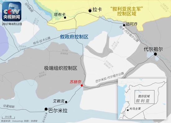 叙利亚政府军宣布收复沙漠重镇苏赫奈|苏赫|叙