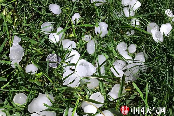 瓜迪奥拉和穆里尼奥