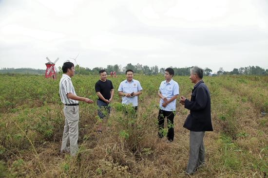 南谯法院:执司法利器 保护我们美好家园|审判|生
