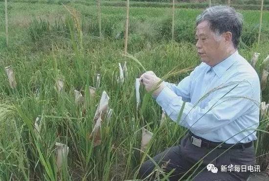 “没入学先下田”成师训