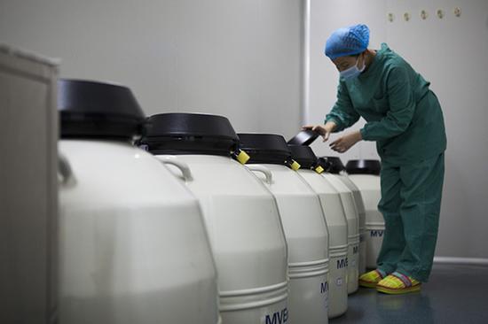 工作人员在整理液氮罐，胚胎存放在液氮罐里冷冻。视觉中国 资料图