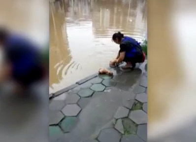 实拍：猪肉摊贩在污浊洪水里洗猪脚