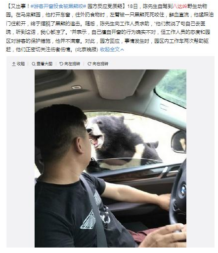 有媒体曝出,8月18日,一名陈姓男子在八达岭野生动物园游玩违规开窗遭熊咬。微博截图