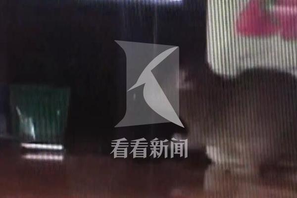 世界杯意大利-乐鱼app(leyu)官方网站-乐鱼官网