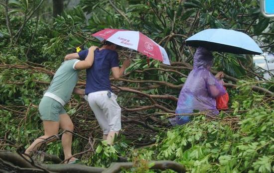 台风天鸽致珠海2人死亡 部分地区出现停水停电