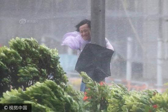 香港街头一名男子抱着电线杆抵抗强风
