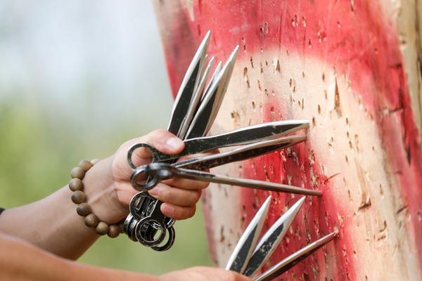 nba图文直播-乐鱼app(leyu)官方网站-乐鱼官网