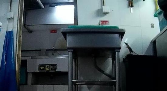 媒体暗访海底捞:老鼠爬进柜 漏勺掏下水道|海底