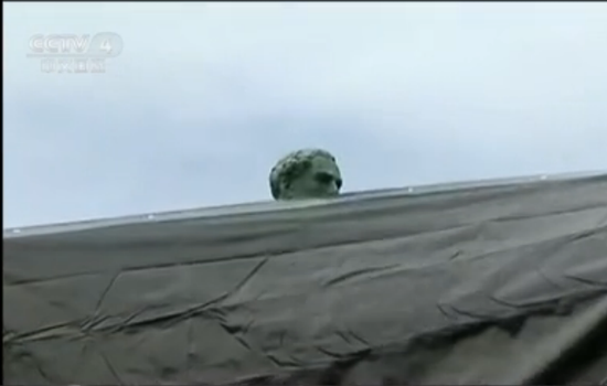 美国引发罕见骚乱的将军铜像被蒙黑布