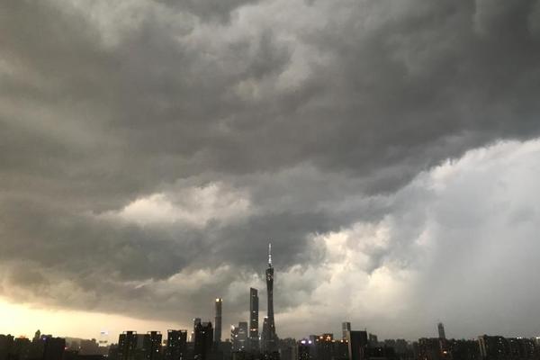 王筝微博-乐鱼app(leyu)官方网站-乐鱼官网