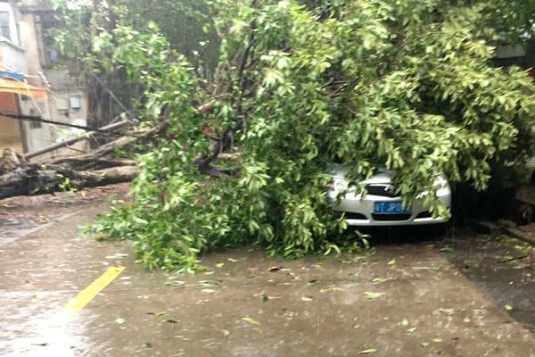 麦迪现在在哪个球队-乐鱼app(leyu)官方网站-乐鱼官网