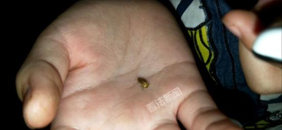 法制晚报·看法新闻摄影记者 李东