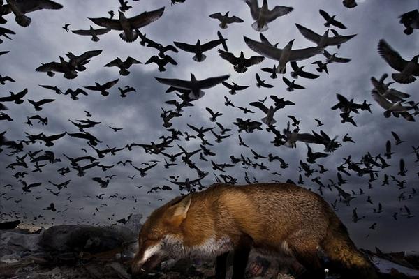 荷兰 西班牙-乐鱼app(leyu)官方网站-乐鱼官网