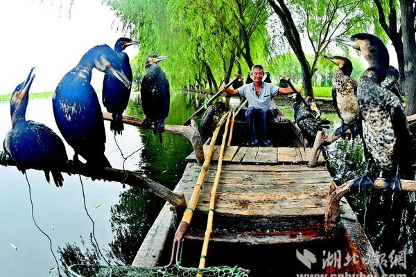 图瓦-乐鱼app(leyu)官方网站-乐鱼官网