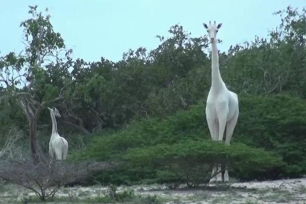 松井大辅-乐鱼app(leyu)官方网站-乐鱼官网