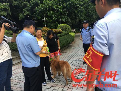 广州警方团结城管等部门开展养犬整治团结执法行动,许多市民自觉为爱犬上牌、牵绳。 本文图片均为金羊网 图