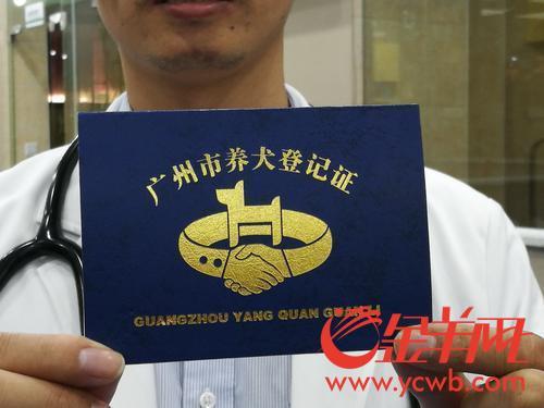 一个月新增养犬挂号8000多,狗狗上牌后有“身份证号”。