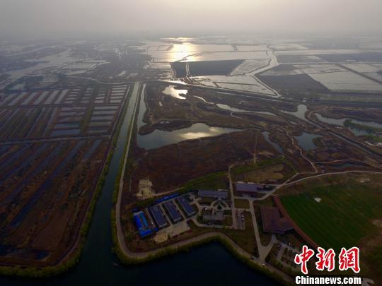 图为航拍白洋淀。 张帆 摄