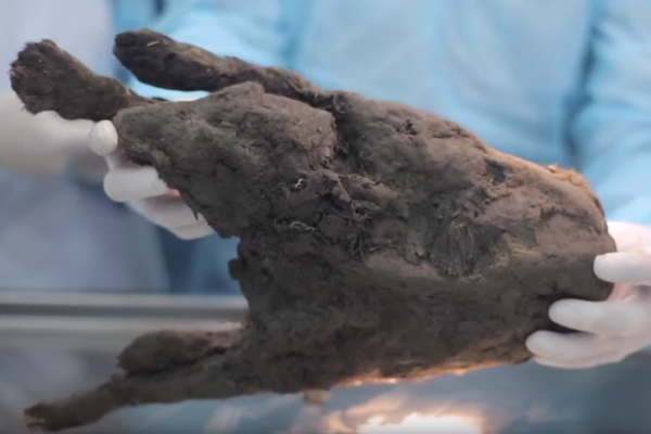 王子豪-乐鱼app(leyu)官方网站-乐鱼官网