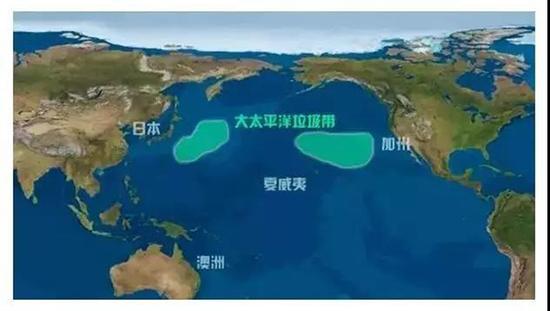 环保人士想在垃圾岛建国 美前副总统成荣誉居民