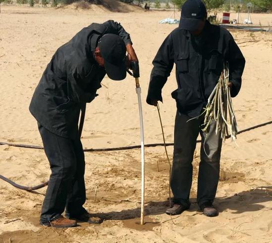 解码沙漠经济学:如何运用商业规则治沙|京津冀