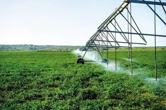 解码沙漠经济学:如何运用商业规则治沙|京津冀