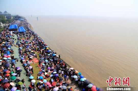 12.5万慕名而来的中外观潮游客翘首等待钱江潮。 王远 摄