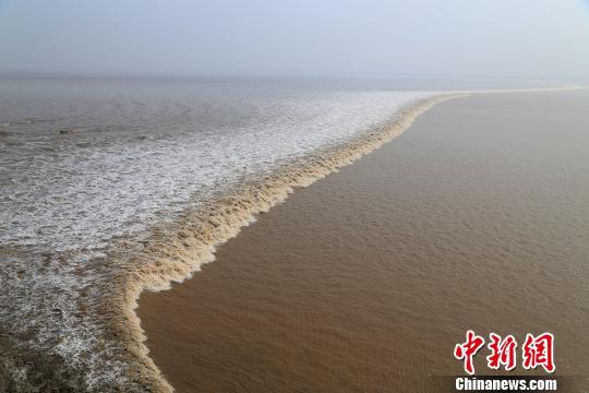 “一线横江”的钱江潮。 王远 摄
