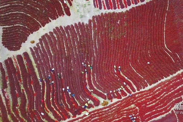 皮蓬走步-乐鱼app(leyu)官方网站-乐鱼官网