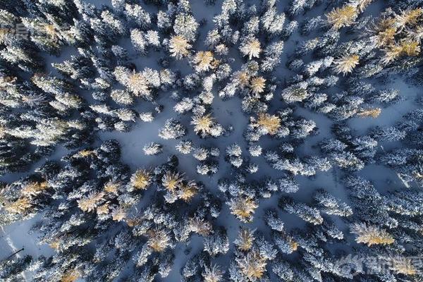 张恩华-乐鱼app(leyu)官方网站-乐鱼官网