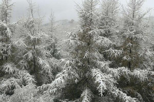 上视体育节目预告-乐鱼app(leyu)官方网站-乐鱼官网