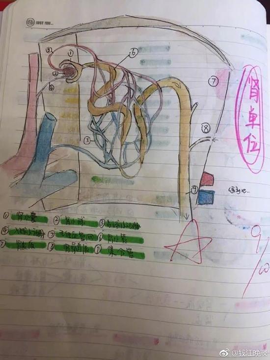 钱烨楠的科学笔记。钱江晚报 微博 图