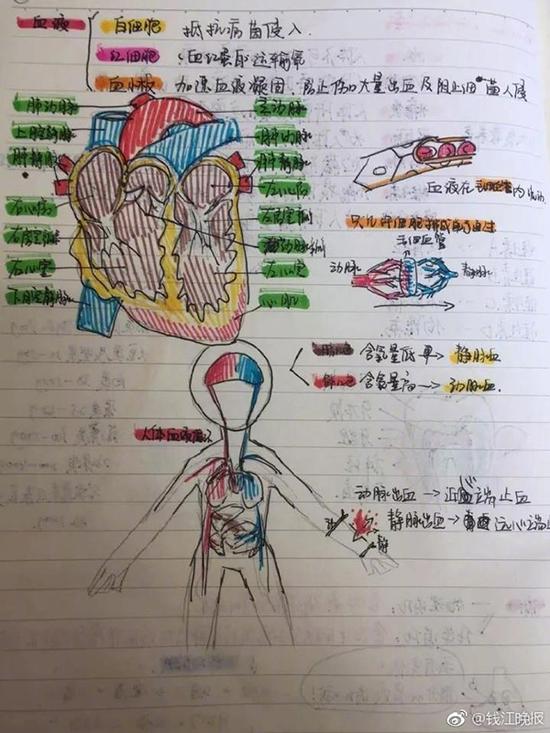 钱烨楠的科学笔记。钱江晚报 微博 图