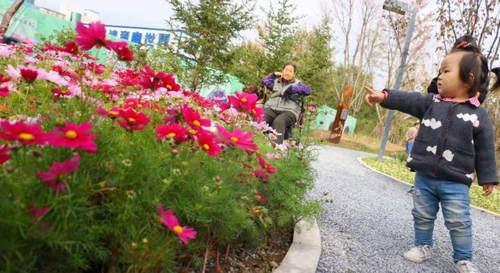 北京城市中心区域疏解后 空地变身足球场(图)|