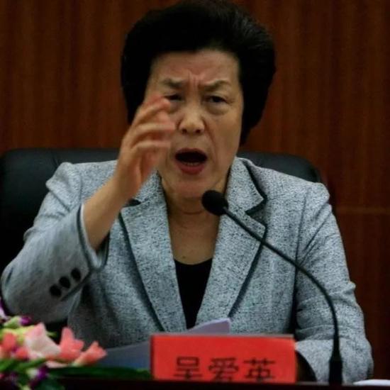 猫咪最新域名地址网站