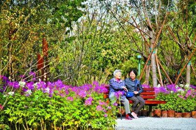 近日,市民在位于菜市口地铁站A口附近的广阳谷城市森林赏花休憩。 实习记者 武亦彬摄