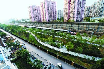 即将完工的西革新里城市绿荫公园成为京津城际铁路线旁新景观。本报记者 孙戉摄