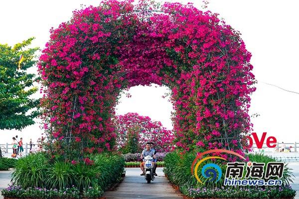 iem8上海站直播-乐鱼app(leyu)官方网站-乐鱼官网