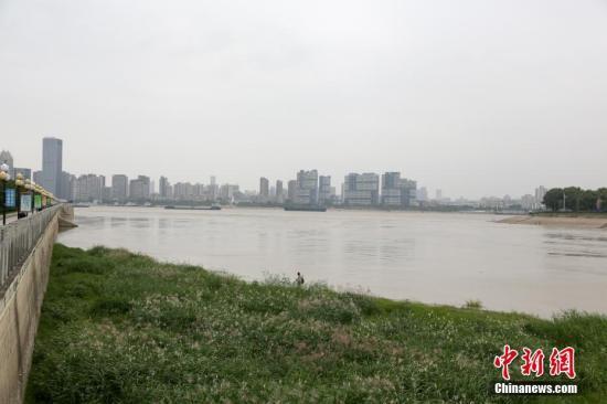 10月10日,汉江武汉龙王庙水域,江水险些与江滩地面持平。连日来,受丹江口水库调理和汉江流域上游降雨影响,汉江武汉段水位迅速上涨。中新社记者 张畅 摄
