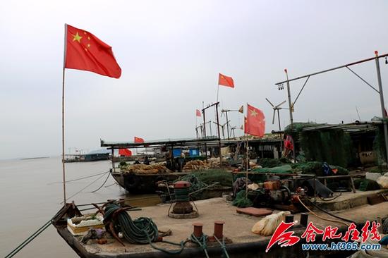 停靠在同大镇丰洲圩岸边的渔船