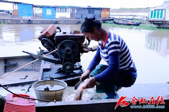 一位渔民在船上处置惩罚卖剩的鱼