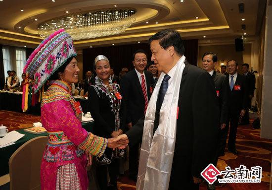 刘云山到场云南代表团讨论 记者雷桐苏/摄